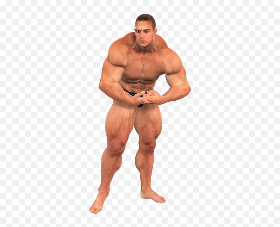 Man Muscles Fitness Studio - Barechested Png,Muscle Man Png