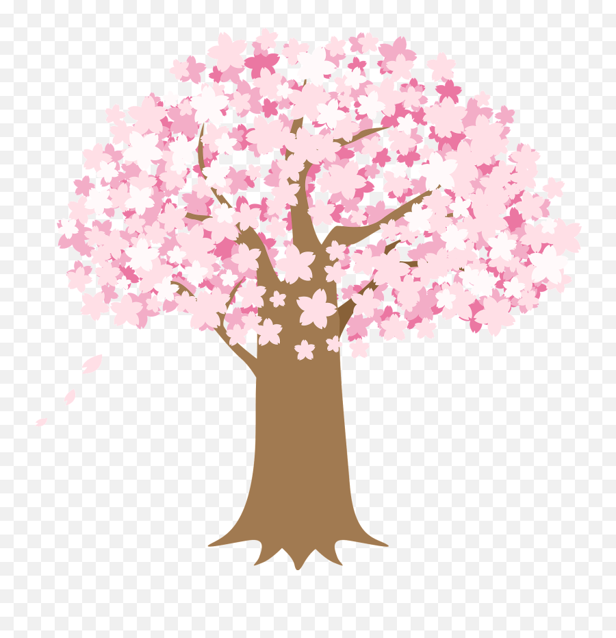 Cherry Blossoms Tree Clipart Free Download Transparent Png - Watching Cherry Blossoms Clipart Black And White,Cherry Tree Png