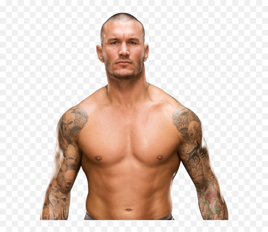 What Is Your Fav Wrestler In Wwe Smackdown Live - Wwe Randy Orton Png,Bray Wyatt Png