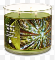 Body Works Mahogany Apple 3 Wick Candle - Bath And png