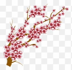 Download Japanese Flowering Cherry Transparent Background - Drawing Blossom Tree png