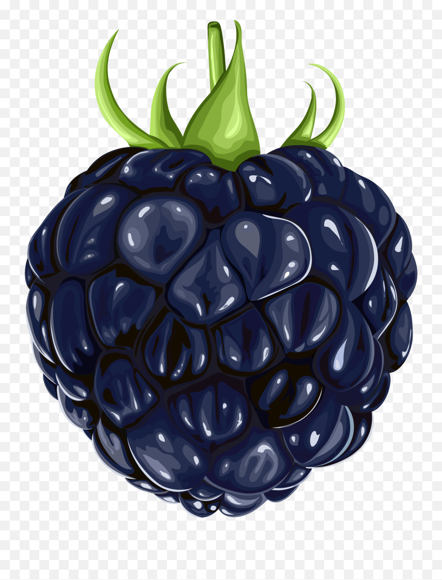Free Blackberry Cliparts Png Images - Blackberry Fruit Clip Art,Blackberry Icon
