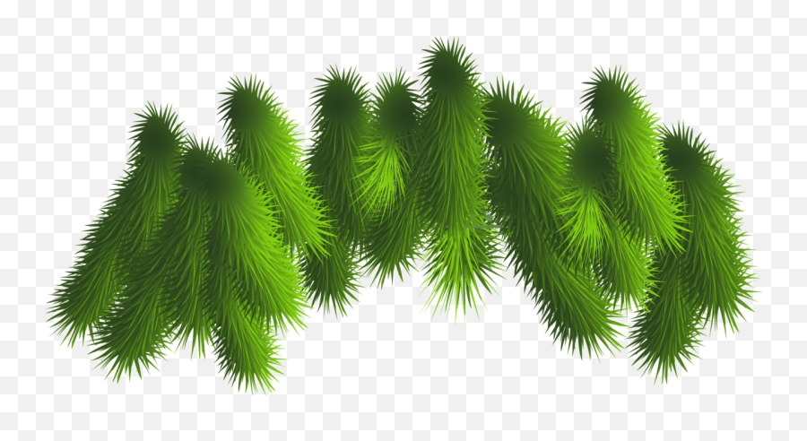Christmas Tree Branch Png Freeuse - Christmas Tree Branches Png,Pine Branch Png