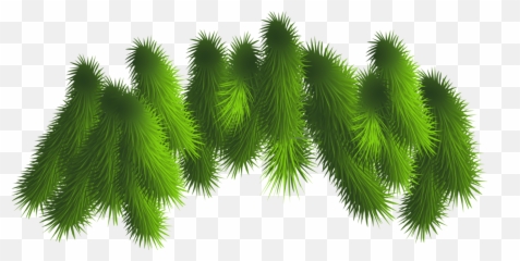 Christmas Tree Branch Png Freeuse - Branches