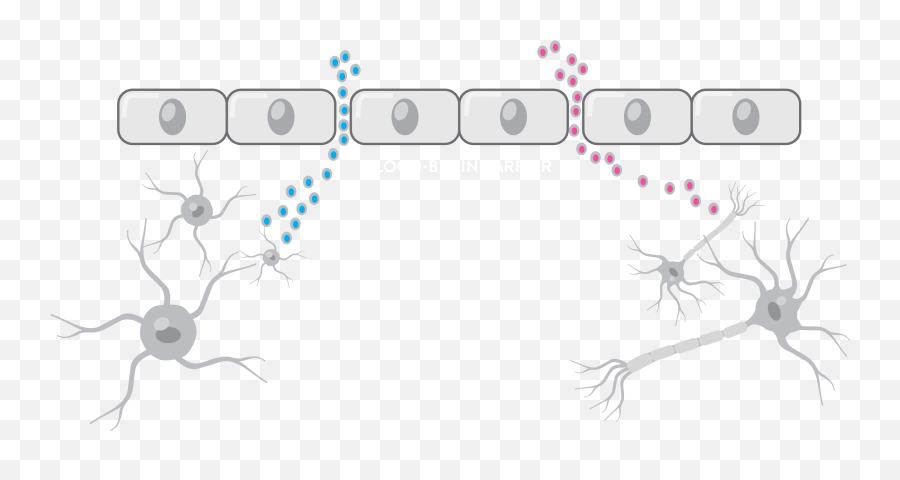 Mtbi Mild Traumatic Brain Injury - Dot Png,Biomarker Icon