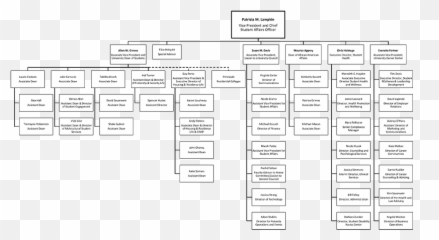 Organization Charts Office Of The Dean Students Uva - Charlottesville png
