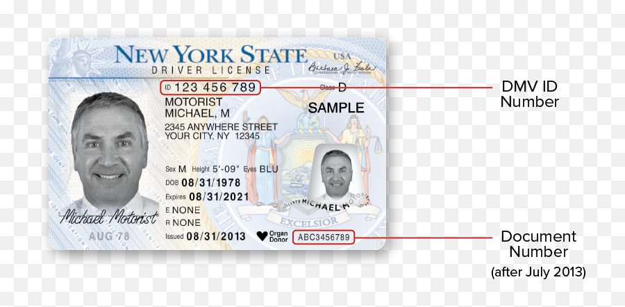 New York Dmv Sample Photo Documents - 2021 New York State License Png,Dmv Icon