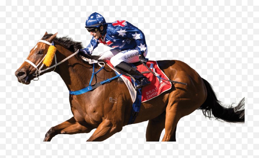 Horse Racing Png - Transparent Horse Racing Png,Racehorse Icon