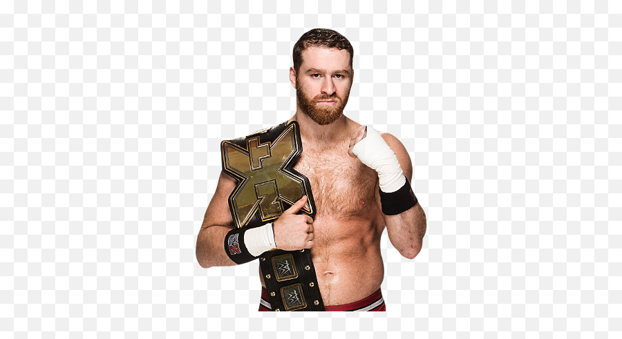 Sami Zayn Nxt Champion Png 3 Image - Wwe Nxt Champion Sami Zayn,Sami Zayn Png