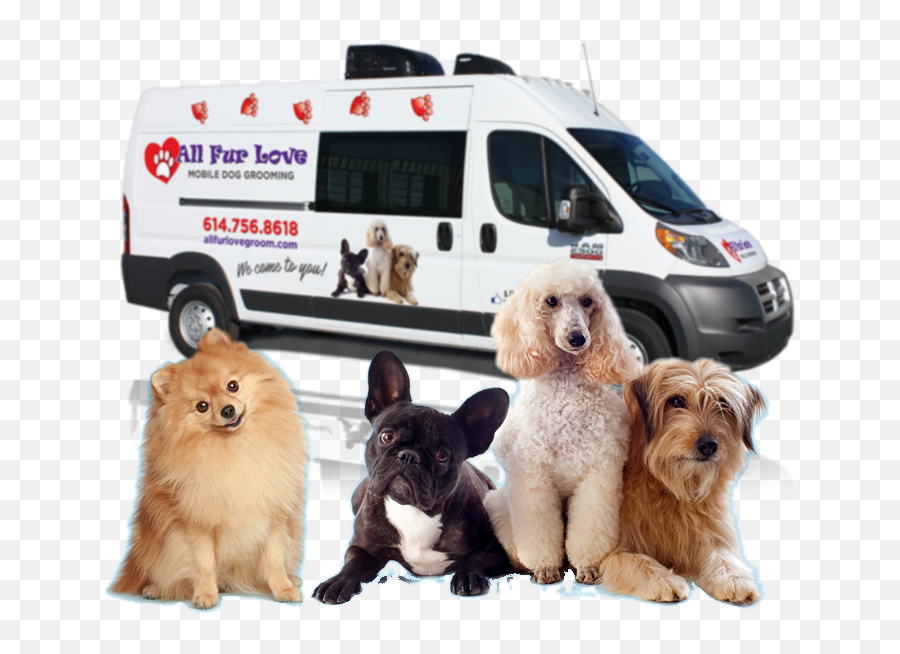 All Fur Love Mobile Dog Grooming Professional Pet Styling - Grooming Dog Png,Pomeranian Icon