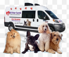 All Fur Love Mobile Dog Grooming Professional Pet Styling - Png