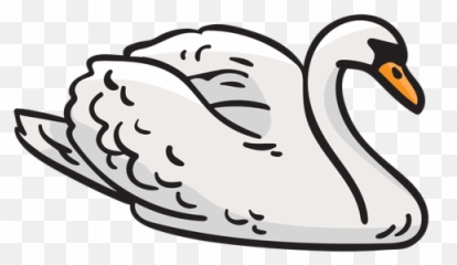 Swan Bird Finland Illustration - Transparent Png U0026 Svg Png Image Cisne Png,Swan Png