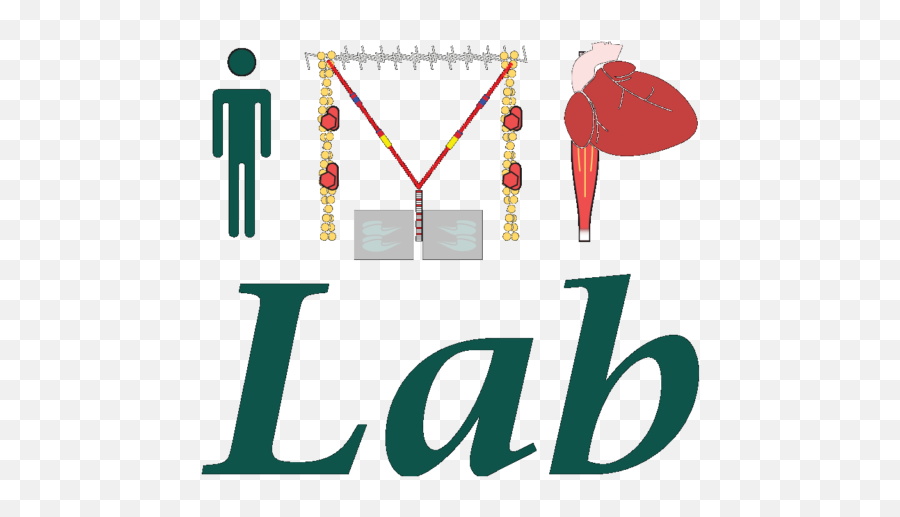 Research U2013 Implab Png Lab Icon