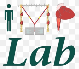 Research U2013 Implab Png