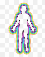 Physical Education Cliparts - Feelings And The Body Png,Education Clipart Png