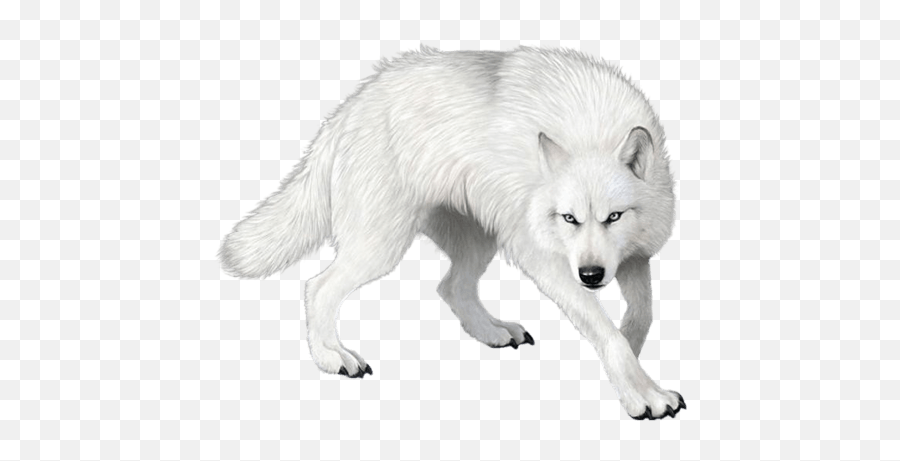 Wolf Png Clipart 22 - White Wolf Png Hd,Wolf Png