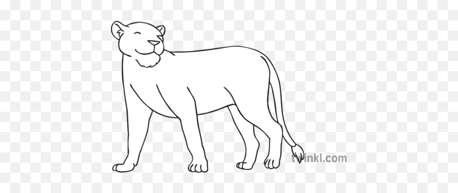 Happy Lioness Black And White - Line Art Png,Lioness Png