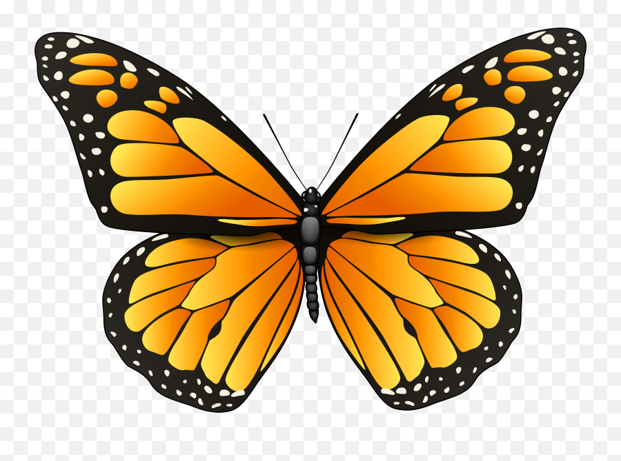 Clipart Butterfly Png Images Monarch