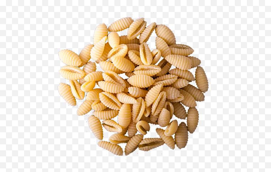 Download Gnocchi Sardi - Gnocchi Pasta Png,Macaroni Png