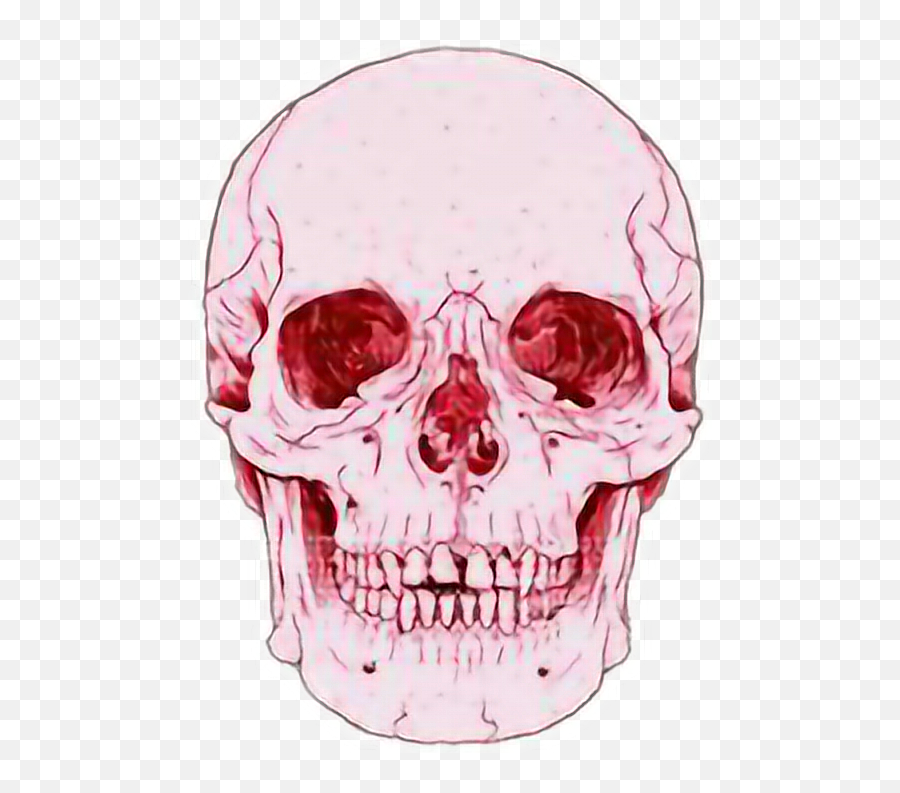 Death Calavera Tumblr - Sticker By Skull Overlay Png,Calavera Png