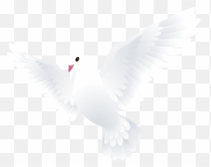 Hd Doves Png Transparent Image