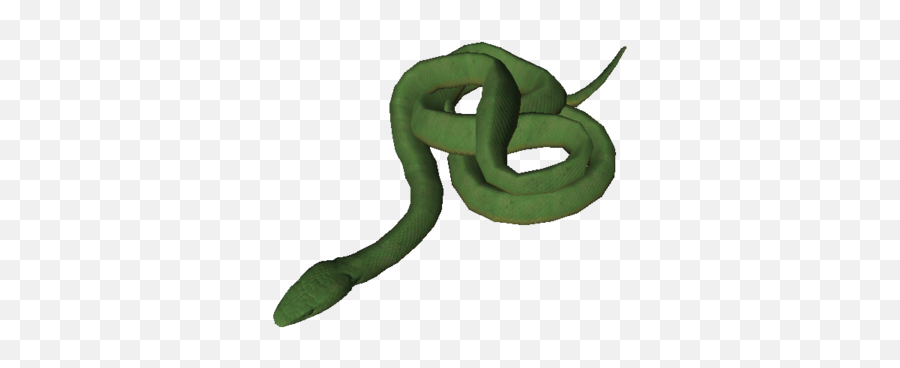 Eastern Green Mamba - Ancestors The Humankind Odyssey Wiki Ancestors The Humankind Odyssey Black Mamba Png,Green Snake Png