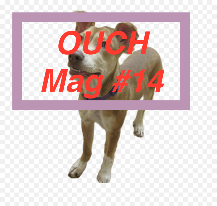 Ouch Mag 14 By Spacehouse - Collar Png,Ouch Png