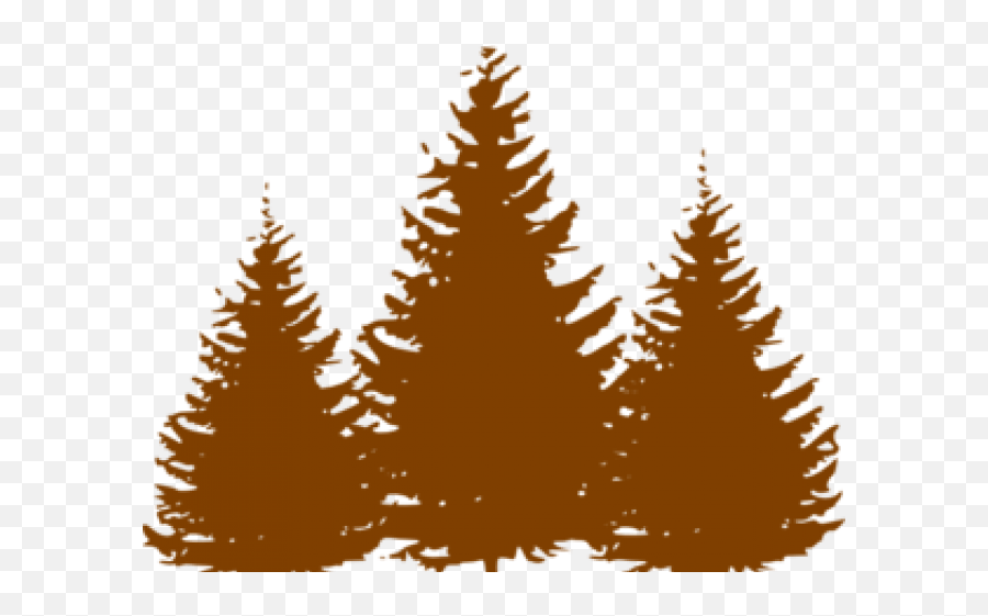 Download Pine Tree Clipart Oregon - Christmas Tree Silhouette Png,Pine Trees Silhouette Png