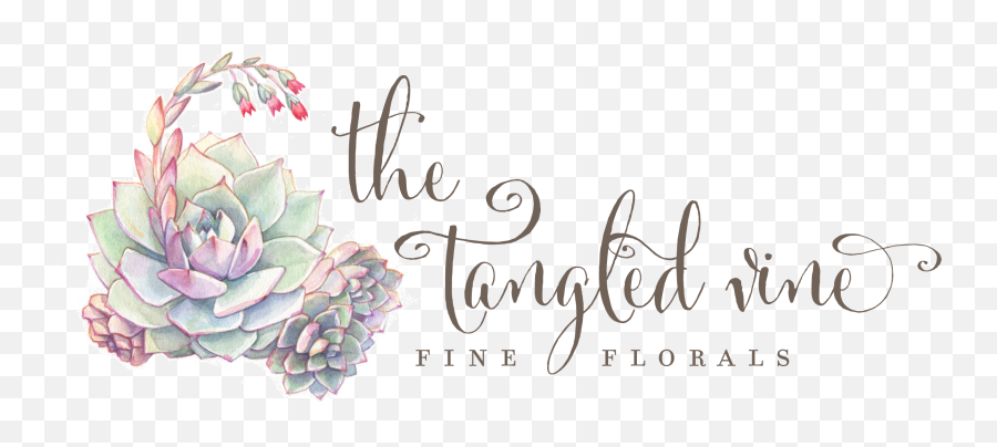 The Tangled Vine Designs Png Sun