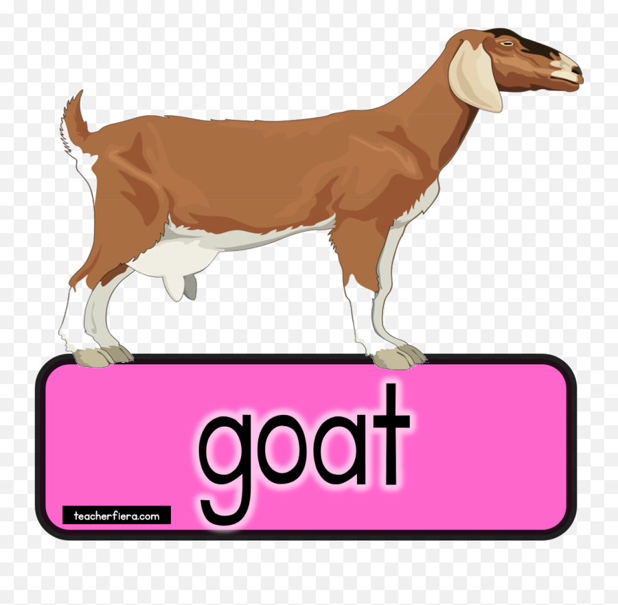 Goat Clipart Bakri - Goat Png Download Full Size Clipart Goat,Goats Png