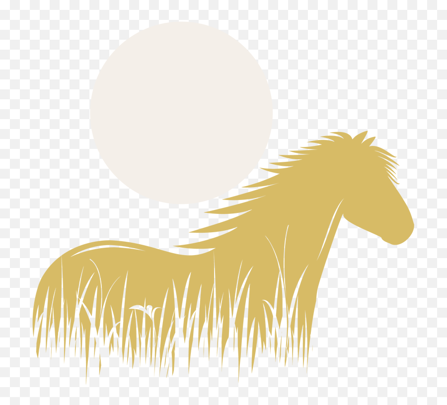 Services - Full Png,Horse Rider Icon