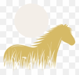 Services - Full Png,Horse Rider Icon