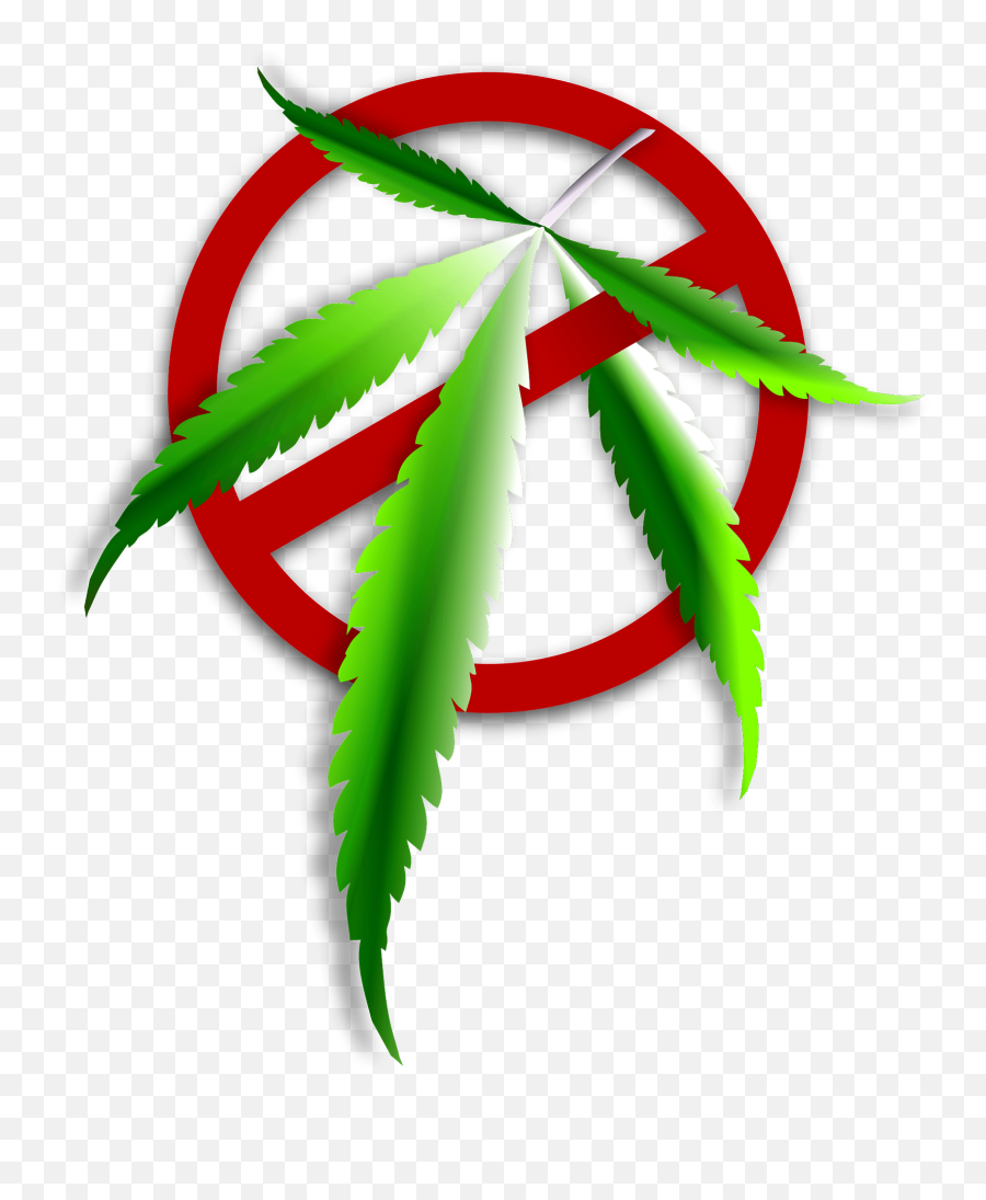 No Weed Allowed Clipart - Icon Narkoba Png,Potleaf Icon