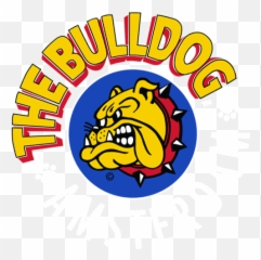 The Bulldog Amsterdam Gif - TheBulldog TheBulldogAmsterdam Discover u0026 Share GIFs png