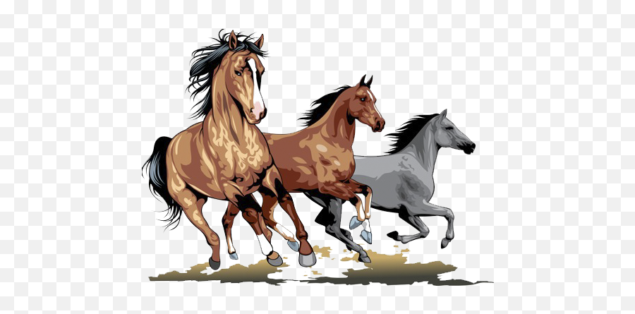 Running Horses - Horse Runing Image Png,Horse Running Png