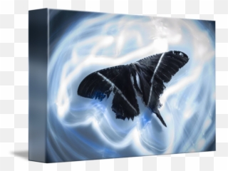 Blue Butterfly By Gery Hutama Nugraha - Butterfly Png,Blue Butterflies Png