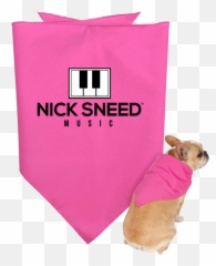 Nick Sneed Music Doggie Bandana U2014 Official Website Png