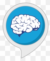 Amazoncom Riddle Of The Day Alexa Skills - Brain png