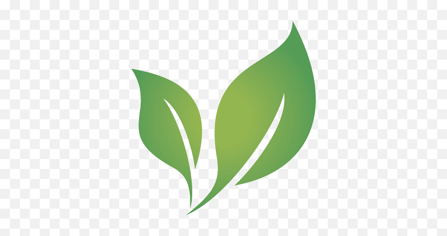 Modular Partners Carina Construction - Language Png,Tea Leaf Icon