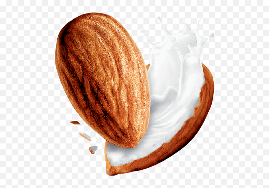 Benefits Of Almondmilk - Almond Png,Almonds Png