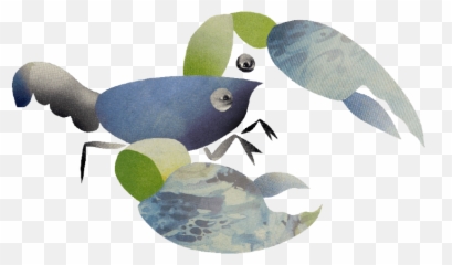 Meredith Music Festival 2016 - Songbirds png