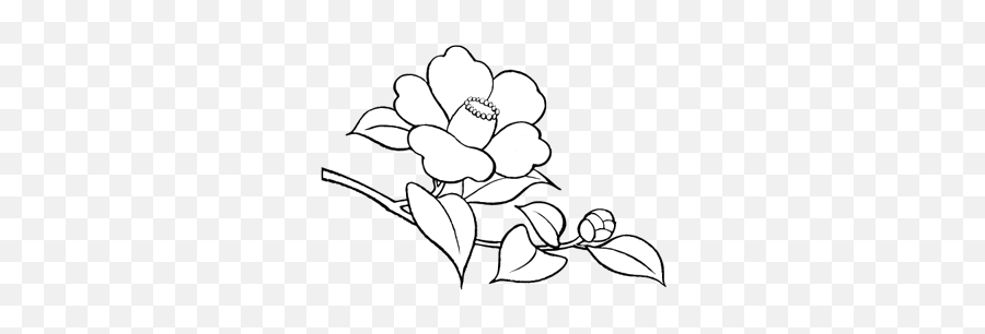 Flower Png Doodle Pack - Album On Imgur White Flower Png Doodle,Black And White Flower Png