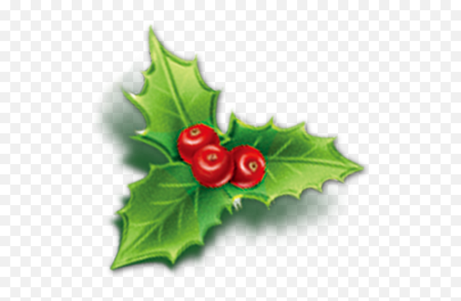 Holly Aquifoliales Christmas Mistletoe Icon - Cherry Png Mistletoe Icon,Holly Png