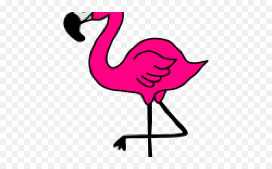 Clip Art Transparent Background - Pink Flamingo Clip Art Png,Flamingo Transparent Background
