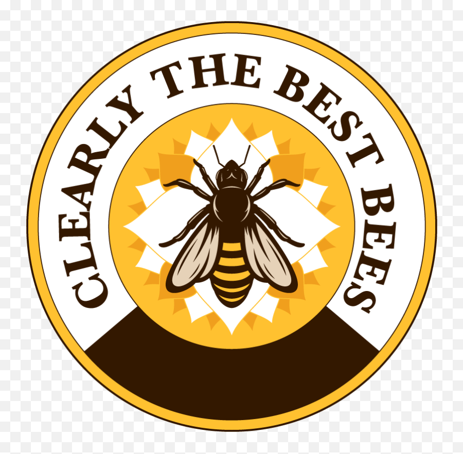 Honey Bee Removal Relocation - University Of Salford Png,Bumblebee Logo