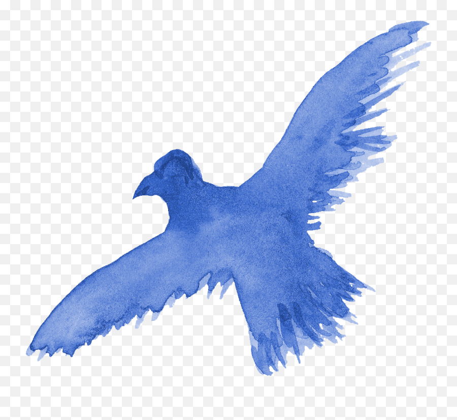 13 Watercolor Bird Silhouette Png Transparent Onlygfxcom - Flying Bird Watercolor Transparent Background,Pigeons Png