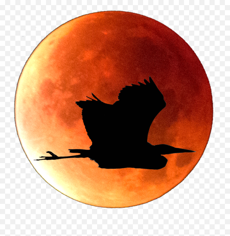 Red Moon Photo Png