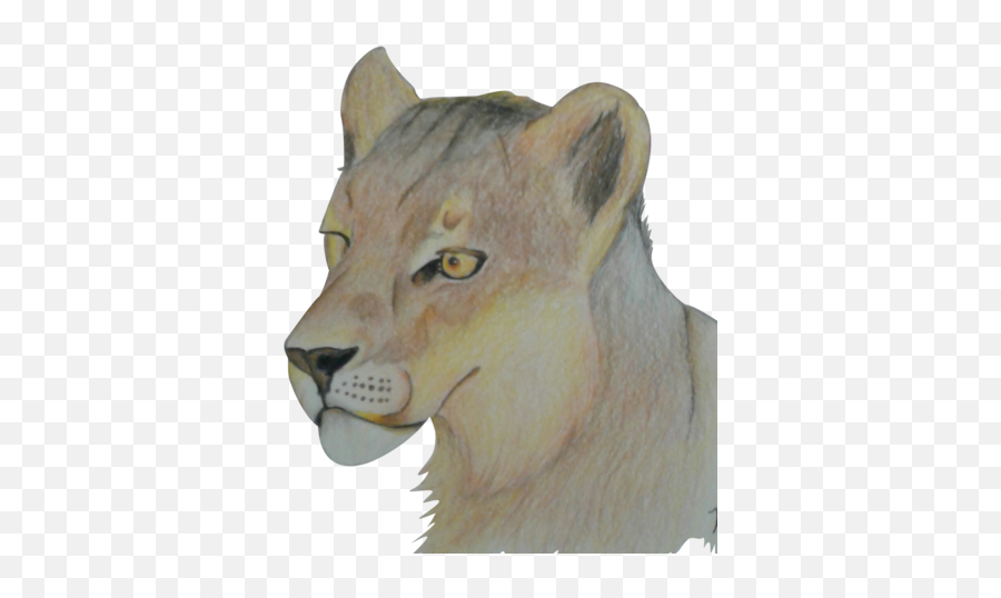 Download Lioness Png Image With No - Lion,Lioness Png