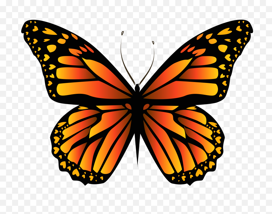 Orange Butterfly Png Clipar Image - Transparent Orange Butterfly Png,Monarch Butterfly Png