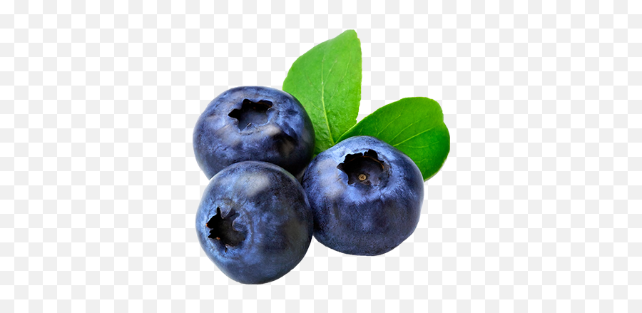 Png V - Blueberry Png,Blueberries Png